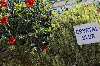 公寓式飯店 Crystal Blue Hotel,